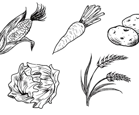 野菜や植物、料理のスケッチ風イラスト描きます メニュー表やパンフ等の挿絵にぴったりな植物・食べ物スケッチ イメージ1