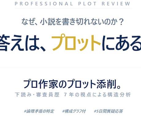 プロ作家のプロット添削。最適なアドバイスを伝えます なぜ小説を書き切れないか？答えはプロットにあるかもしれません イメージ1
