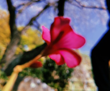Instagramの投稿をお手伝いします 投稿したいけど何を投稿したら良いの？そんなお悩み解決します！ イメージ2