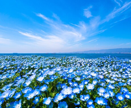 心霊写真かを詳細に鑑定します 霊査探偵neoが心霊写真や現象なのか詳細に鑑定致します イメージ1