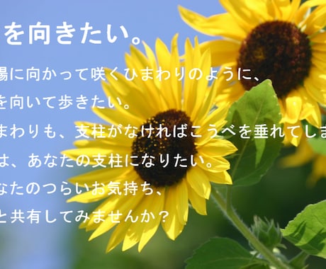 カウンセラーのタマゴの時間を1週間与えます 1週間悩み話し放題！　解決に至るまでとことん付き合います。 イメージ2
