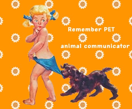 魂でつながる、愛しいペットの声をお届けします 言葉にできない想いを、霊感とタロットでそっと紡ぎます イメージ1