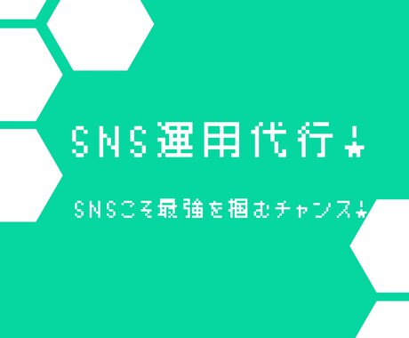 SNSでマネタイズの仕方教えます 【SNS運用代行・SNSコンサル】 イメージ1