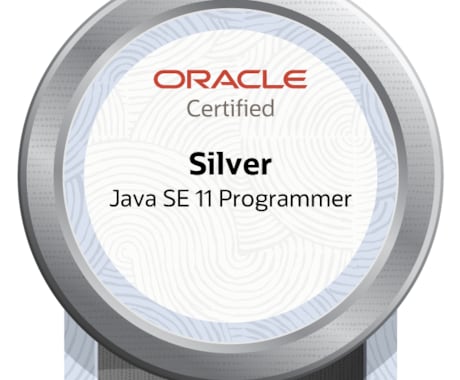 1週間質問し放題！Java教えます 短期集中　目指せJavaSilver！【Aコース】 イメージ1