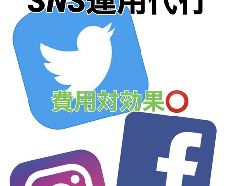 おすすめ/月額　SNS運用代行致します フォロワー、集客、収益でお困りの方のために イメージ1