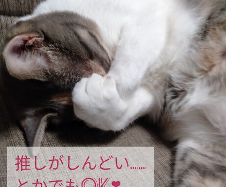 しんどいこと、楽しかったこと、お聞きします 誰か聞いて〜！、それ、毒親育ちのオタクがお聞きします。 イメージ2