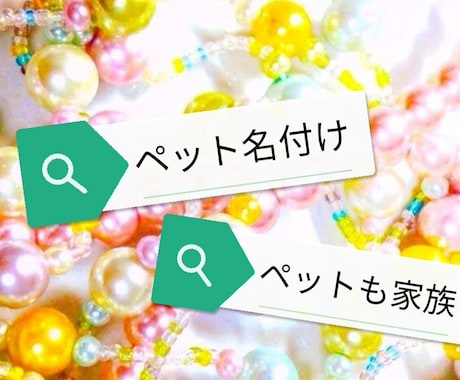 ペットの名付け・姓名判断鑑定致します ペットも大切な家族だから‥姓名判断鑑定、プチ改名、名付け イメージ1