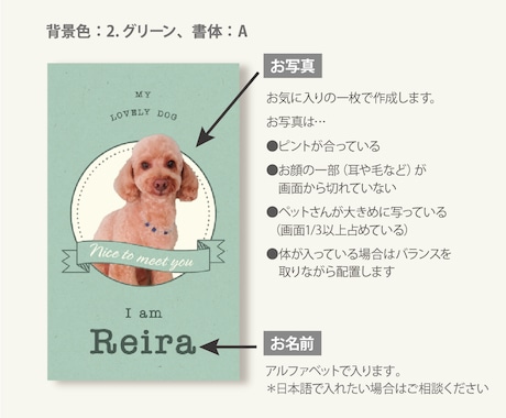 写真入り犬猫ペット名刺　色と書体が選べます 歴15年のデザイナーが作るセミオーダー名刺100枚送料込 イメージ2