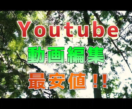 Youtubeの動画編集を最安値で承ります 最安値でYoutubeの動画編集を依頼したい方に！ イメージ1