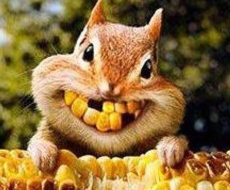 朝のモーニングコール受け付けてます 朝が起きれないこの時間に起こしてほしいなどご相談下さい 話し相手・愚痴聞き ココナラ