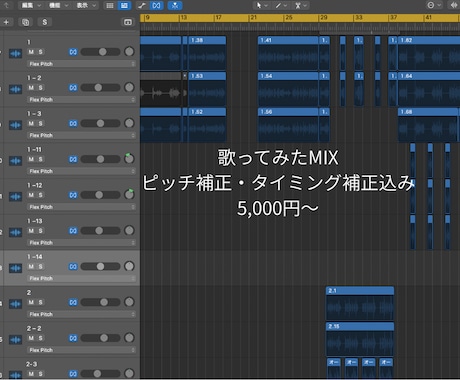 歌ってみたのボーカルMIX承ります 聴きやすく自然な歌声に仕上げます イメージ1