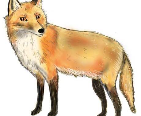 ペット・動物のイラスト作成します 毛並みや模様の特徴を捉えてペットをイラストにします。 イメージ2