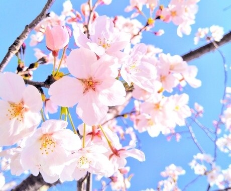 1分単位OK！！どんなお悩みでもお聞きいたします いつもお疲れ様です。どんな小さなお悩みでもお聞かせください！ イメージ1