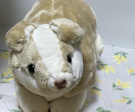 ぬいぐるみ制作致します オリジナルぬいぐるみ制作します イメージ2