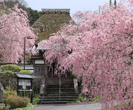 オンライン　日本語学習者向けに関西弁を教えます 関西人になれる　楽しんで習得しましょう！ イメージ1