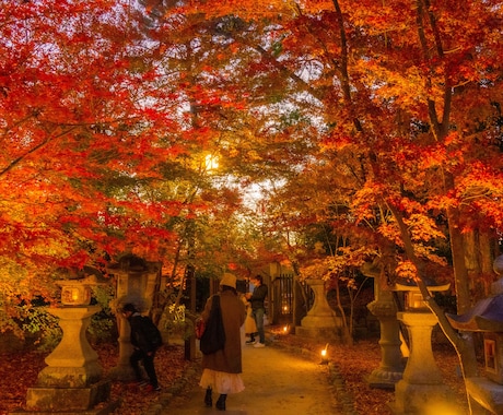 あなたが行きたくなる旅行先を提案させていただきます あなたの旅行をより良くさせていただく手助けをさせてください！ イメージ2