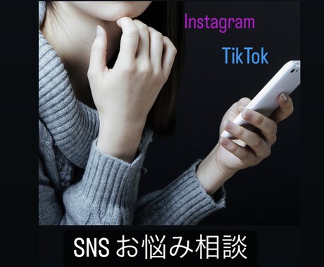 SNS全般お悩み相談します SNSのお悩み解決にご協力します。 イメージ1