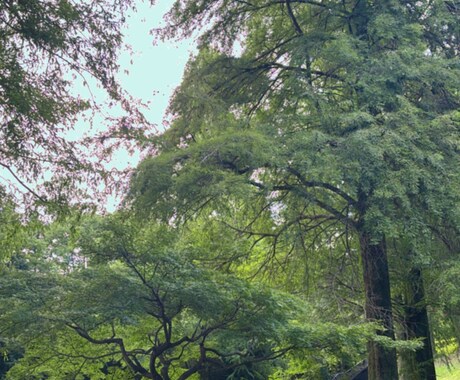 愚痴を聞きます 愚痴から恋愛相談 何でも聞きます！ イメージ1