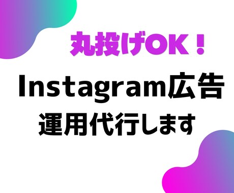 Instagram広告の運用を代行いたします 【丸投げOK】戦略から運用まで一気通貫で伴走します イメージ1