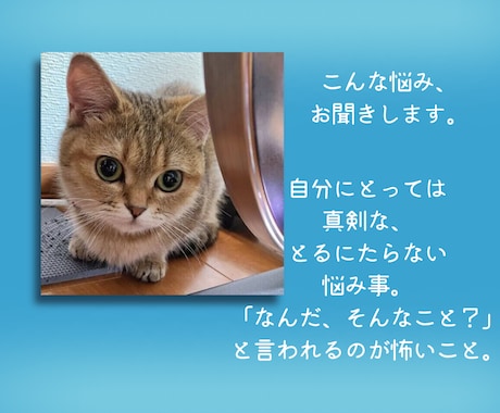 どうでもよくない、どうでもいいこと聞きます 「（どうでもよくない）どうでもいいこと」話してみませんか？ イメージ2