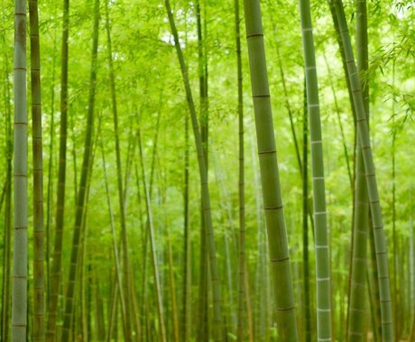 霊を避ける秘訣教えます 霊が寄り付きにくい生活へ向けて イメージ1