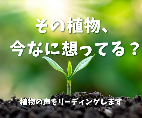 植物からのメッセージをお届けします あなたの大切な植物が感じているあなたへの想い イメージ1