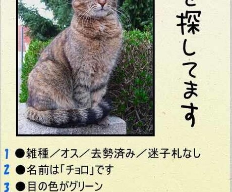 迷子のペットを捜索チラシ作ります ちょっとでも早く探したいですよね！早急対応 イメージ1