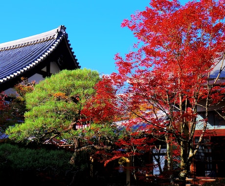 あなただけの京都観光・旅行プランを作成します 京都在住者がプラン作成、PDFで納品します。 イメージ1