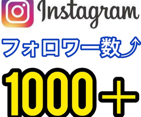 インスタグラムフォロワー数を１０００人＋増やします 人気インスタ