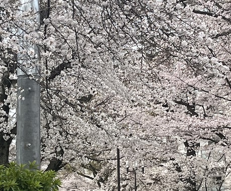 仕事のことで悩んでるかたを励まします 一緒に改善方法考えましょう。あなたの悩みによりそいます イメージ1