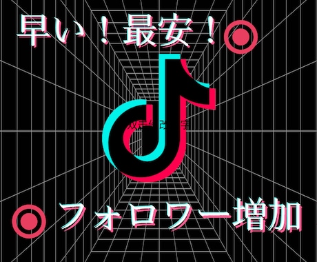 TikTokフォロワー2０００増加させます ココナラ最安！保証付き！日本人ユーザーにOK！ イメージ1