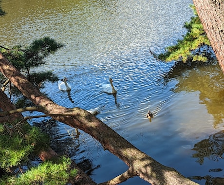 愚痴はきたい、話し相手ほしい等ご希望叶えます 1分〜！あなたの居場所になれれば幸いです* イメージ1