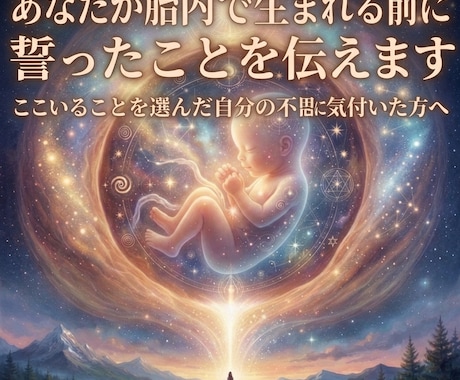あなたが胎内で生まれる前に誓ったことを伝えます ここにいることを選んだ自分の不思議に気付いた方へ イメージ1
