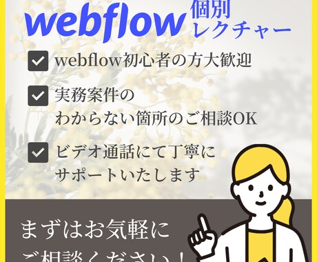 初心者歓迎！webflowの構築方法を教えます ビデオ通話にて使い方＆疑問を丁寧にサポートいたします！ イメージ1