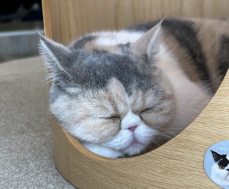 あなたの心にそっと寄り添います 誰にも気をつかわず、安心して話せる時間を。」 イメージ1