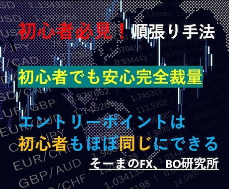 初心者でもわかる！？バイナリーオプションを教えます 初心者でも安心して覚えられる手法！　PDF解説付き イメージ1