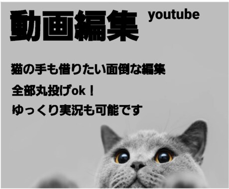 動画編集いたします 動画投稿を始めたいけど編集は面倒な方へ イメージ1