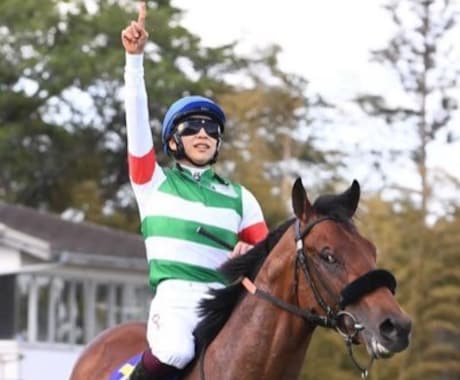 競馬のAIを提供・サービス化までサポートします AI予測、期待値計算まで行うソフトを提供、カスタマイズします イメージ1