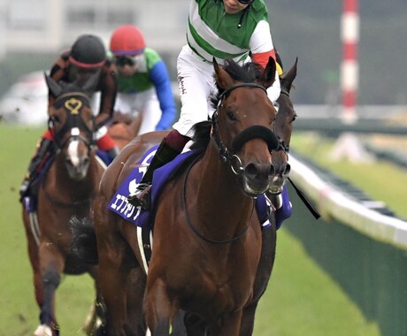 中央　地方競馬予想します 中央、地方競馬メイン、最終レース予想調子絶好調回収率アップ イメージ1