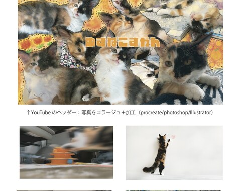 あなたの愛猫の動画作ります ゆるりとほんわかした動画をお届けします イメージ1