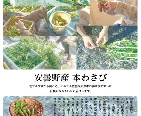 限定お試し！チラシ、フライヤーデザイン承ります お客様のイメージをしっかりヒアリングしてデザインします！ イメージ1