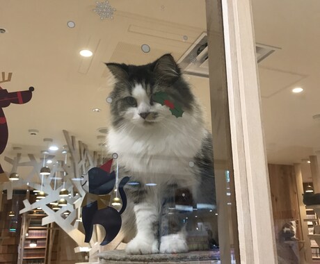 あなたの悩み、軽くします あなたの心が少しでも軽くなるよう、助けさせてください イメージ1