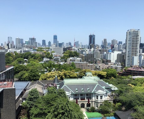 東京限定！オンラインコンシェルジュいたします あなただけのオリジナルTokyo trip イメージ1