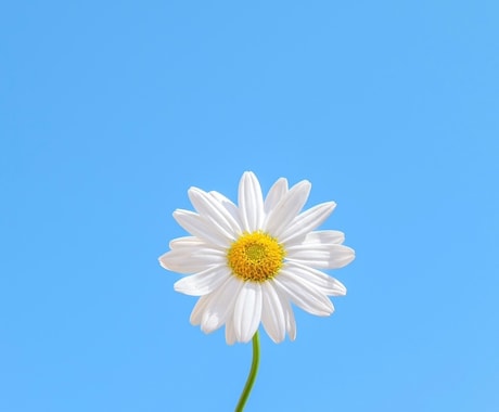 愚痴・相談・雑談　話し相手になります 内容が決まってなくても、1分でもOK(*´ `*) イメージ1