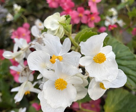 何気ない会話聞きます なんとなく話したいなぁ〜って時教えてください☺️ イメージ1