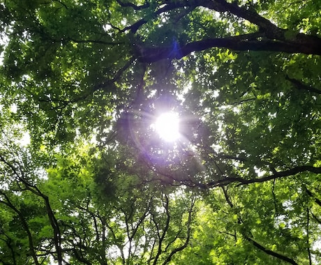 自律神経失調症と闘う人をサポートします 新たな視点で自律神経と向き合う手助けができたなら最高です イメージ1