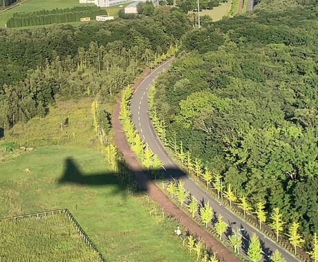 公的資金の経費管理Exelを整備します 研究開発・補助金案件(NEDO等)の経費管理を整備します イメージ2