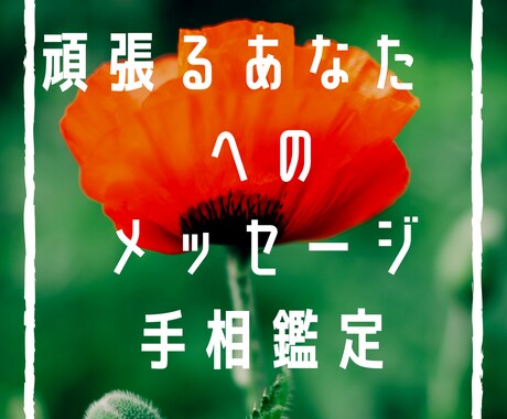 手相鑑定であなたの可能性をお伝えします 約2000人の鑑定実績からあらゆる人を開運に導きます。 イメージ1