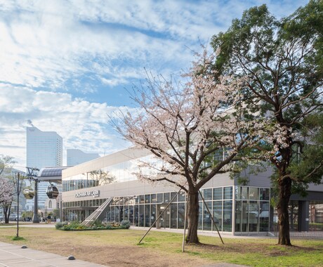 建築写真・竣工写真（内観・外観）撮影をいたします 戸建て、店舗、施設等の建築物の内外観撮影（専用機材使用） イメージ2