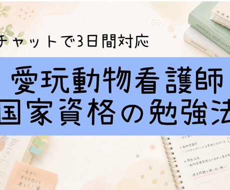 愛玩動物看護師の勉強相談承ります 動物病院勤務10年の経験をもとにお答えします イメージ1